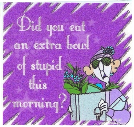 Did you eat an extra bowl of stupid this morning?