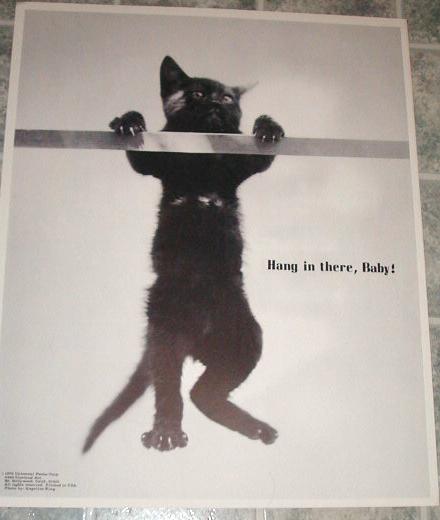 Hang in there, Baby! Cat Poster